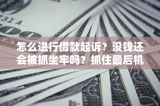 武汉怎么进行借款起诉？没钱还会被抓坐牢吗？抓住最后机会！
