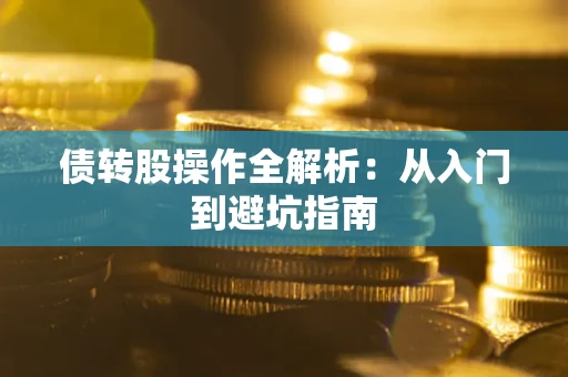 武汉债转股操作全解析：从入门到避坑指南