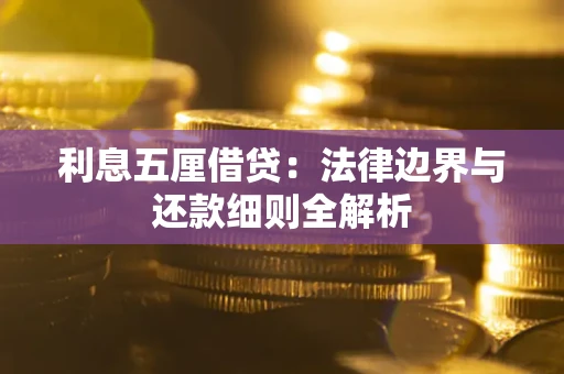 武汉利息五厘借贷：法律边界与还款细则全解析